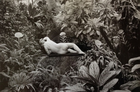 Edouard Boubat (1923-1999)  Jardin des Panets, Paris Hommage au Douanier Rousseau, 1980  Gelatin silver print  12 x 16 inches (paper) 9.5 x 14 inches (image)  EB_004, Black and White Photography