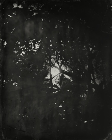 Black and white landscape tintype photograph