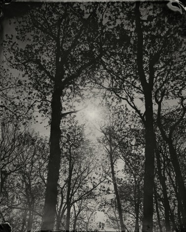 Black and white landscape tintype photograph