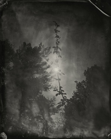 Black and white landscape photograph from tintype original