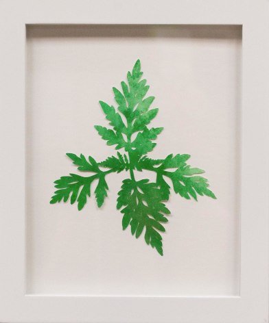 Hannah Cole  Tiny Lacy Weed, 2018  watercolor on cut paper  Framed: 10h x 8w in 25.40h x 20.32w cm  HC_034