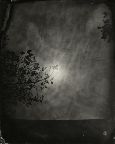 Black and white landscape tintype photograph