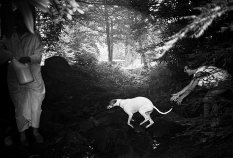 Black and white photograph of a woman tossing a white dog over a creek bed