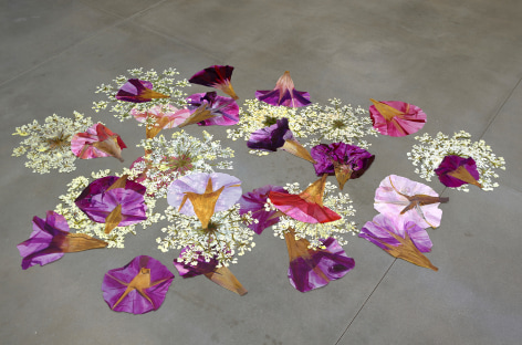 Carly Glovinski  Pressing, 2019  Acrylic and Mylar on DuraLar  Dimensions Variable  CG_002, floor installation of pressed flowers of various colors and varieties