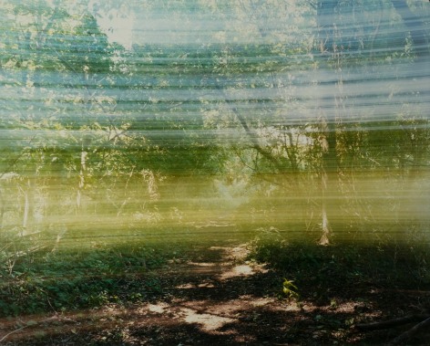 Mirrored Path (Slowly Panning), 2017  C-Print mounted to Dibond  40 x 50 inches  Edition of 5, photograph of an intersection of a wooded path while panning he camera