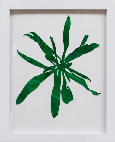 Hannah Cole  Untitled Green Weed #1, 2018  watercolor on cut paper  Framed: 14h x 11w in 35.56h x 27.94w cm  HC_037