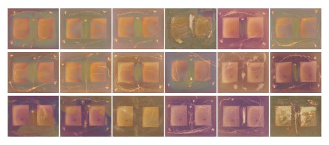 Abstract color field series of subtle rectangles with plant matter throughout the composition. Each of the thirty-six images are all different.