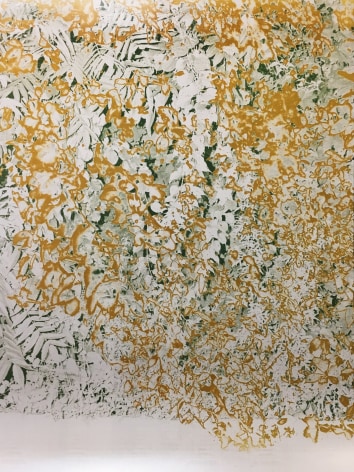 Bryan Graf  Ridge (Tropical Haze), 2019  Chromogenic Print  42h x 32w in Edition of 5 - an abstract work consisting of vibrant yellows and greens over a white background