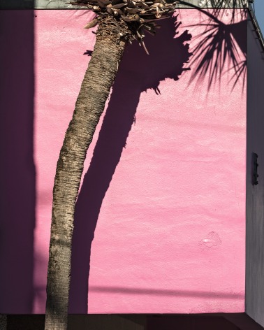 Miami Pink, 2017, from the series FloodZone Arcival pigment print  32 x 40 inches, Edition of 5  40 x 50 inches, Edition of 5, Bright pink, stucco wall edged in shadow with a palm tree