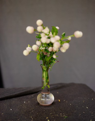 Still life floral arrangement by James Henkel