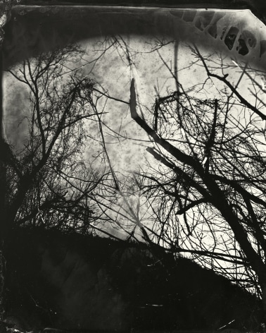 Black and white landscape tintype photograph