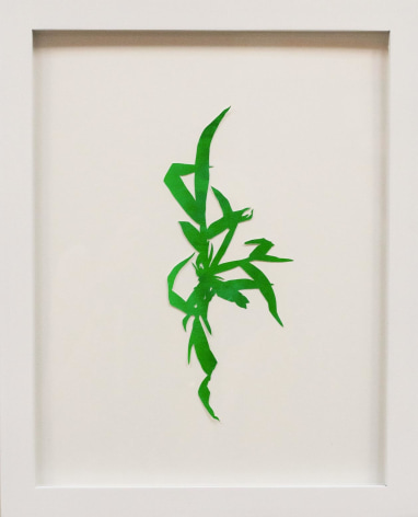 Hannah Cole  Crabgrass #7, 2018  watercolor on cut paper  Framed: 14h x 11w in 35.56h x 27.94w cm  HC_043