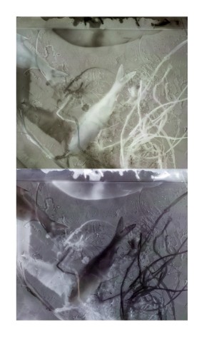 Two panel photograph of X-ray view of a fish