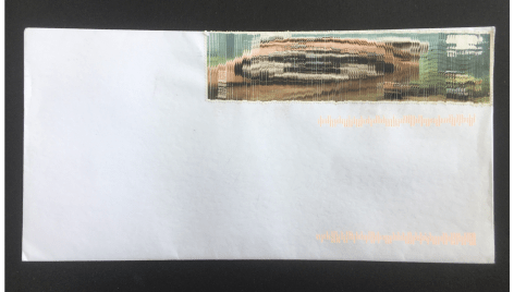 Wicket W Warrick, 2019