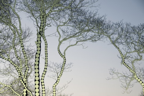 A Season of Litanies Series: Pink,  2013