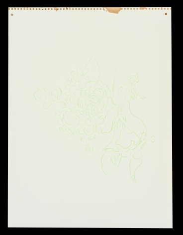 rosesmorninggloriesgreen