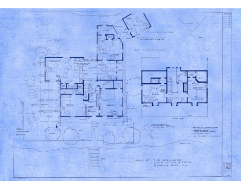 Home of The Brenners (The Birds), 2024