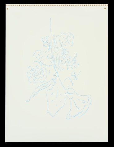 Rosesmorninggloriesblue