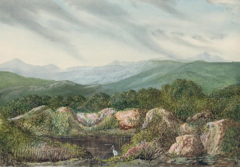 Mountainous Landscape with Lake and Wading Bird   Dendrite, watercolor with gouache on paper 6 1/2 x 9 1/4 inches