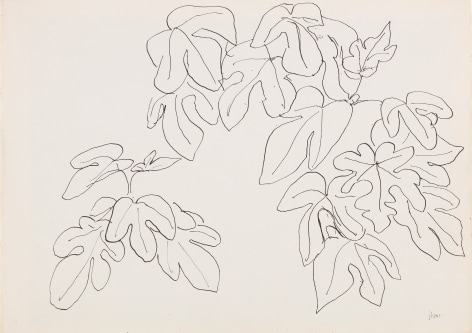Henri Matisse Leaves, 1941 Ink on paper recto and verso 11 x 14 3/4 inches