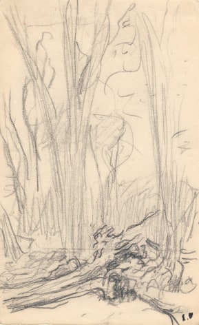 Edouard Vuillard Troncs d'arbres et racines