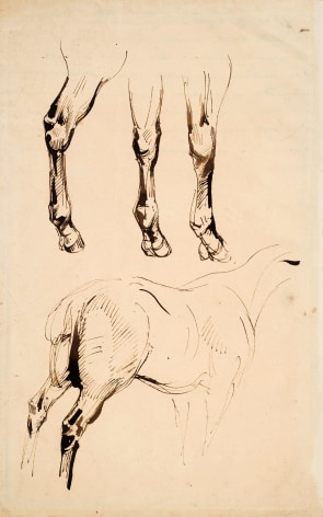Eugene Delacroix, Three Studies of Legs and a Study of the Rump of a Horse, 1828  Pen and brown ink with brown wash on paper 12 1/4 x 7 5/8 inches