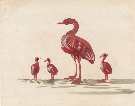 Variation on the Theme of Birds, Family of Waders, c. 1850    Watercolor on paper 2 11/16 x 3 7/16 inches