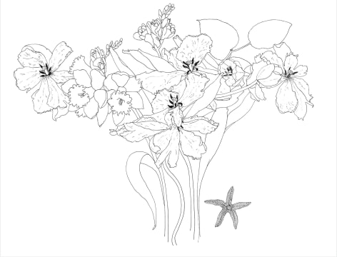 Tulips with Starfish, 2016, Pen and ink on paper