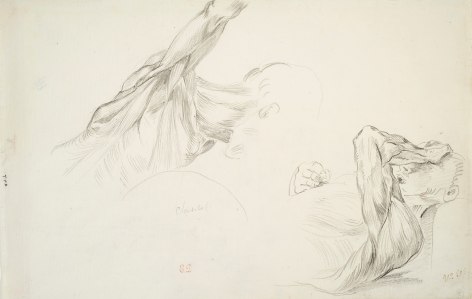 Eugene Delacroix, Two Studies of the Flayed Muscles of a Man's Head and Shoulder  Pencil on paper 9 5/8 x 14 5/8 inches