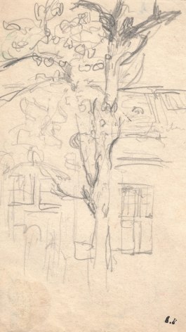 Edouard Vuillard Arbres devant un maison