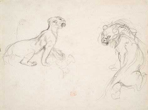 Eug&egrave;ne Delacroix, A Lion and a Lioness Pencil on paper 6 7/8 x 9 inches
