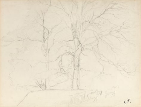 Camille Pissarro Trees in Montmorency, c. 1855-60 Pencil on paper 12 1/2 x 16 1/2 inches