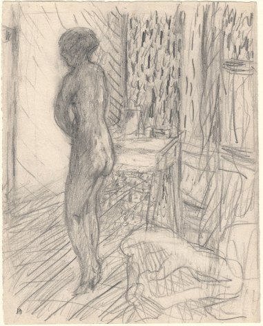 Pierre Bonnard, La toilette