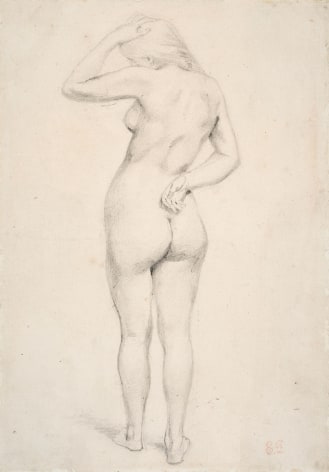 Standing Female Nude Seen from Behind, &nbsp;