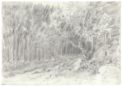 Theodore Rousseau Path through the Forest, c. 1855 Black chalk 7 1/2 x 10 7/8 inches