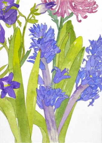Pamela Sztybel Hyacinth, 2016  Watercolor on paper  7 x 5 inches