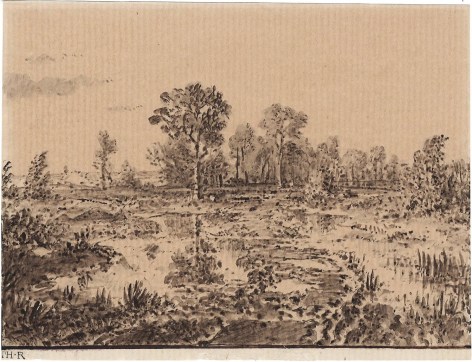 Pond among the Trees, c. 1862    Pen and ink with wash on paper  4 5/8 x 6 inches  Stamped lower left