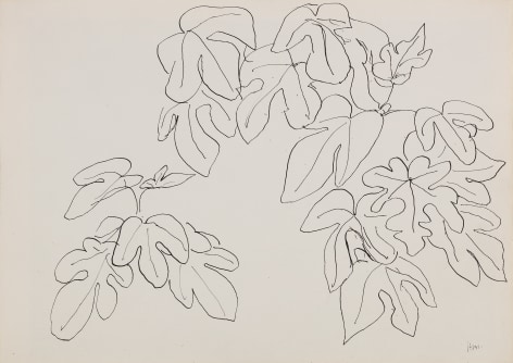 Henri Matisse, Leaves (RECTO), 1941