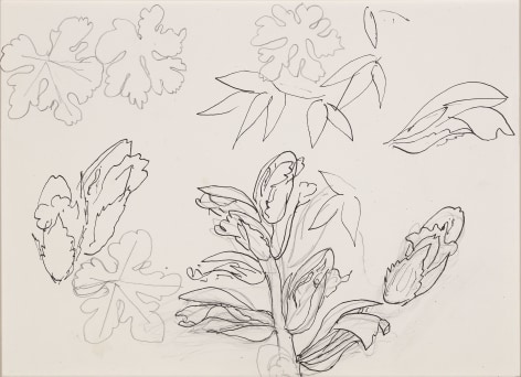 Henri Matisse, Leaves (VERSO),&nbsp;1941