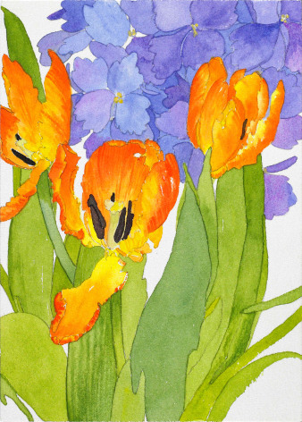 Pamela Sztybel Open Orange Tulip  Watercolor on paper 7 x 5 inches