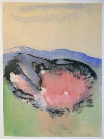 Fulvio Testa, Untitled 10, 2012    Watercolor on paper 15 5/8 x 12 3/8 inches