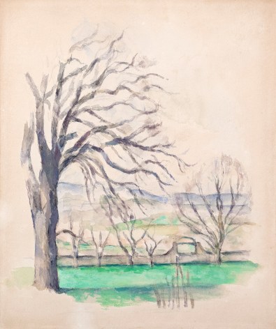 Paul Cezanne (French, 1839-1906) Arbre dépouillé au Jas du Bouffan, 1878-80 Pencil, watercolor, and gouache on white paper 14 x 12 in. (35.5 x 30.5 cm)