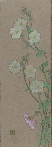 Sigisbert Chr&eacute;tien Bosch Reitz (1860-1938) Morning Glory, ca. 1900 Colored chalk on paper 21 5/8 by 7 1/2 inches (