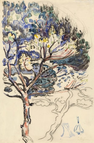 Paul Signac Le Pin, Study for Anitbes, La Salis, c. 1916    Watercolor and charcoal on paper 16 x 11 inches