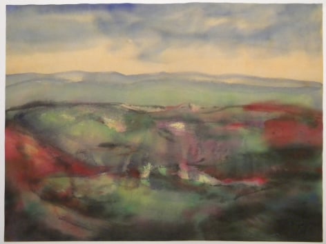 Fulvio Testa, Untitled 13, 2012    Watercolor on paper 13 3/8 x 15 7/8 inches