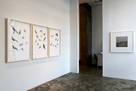 Past and Present​Installation view
