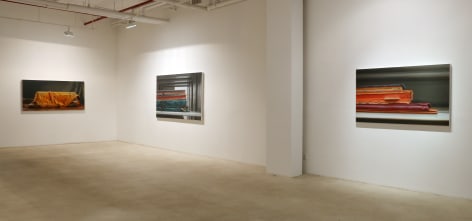 Endurance: New Works by Xie Xiaoze&nbsp;, Installation view