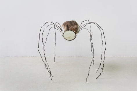 Mirrored Spider 镜面蜘蛛, 2017
