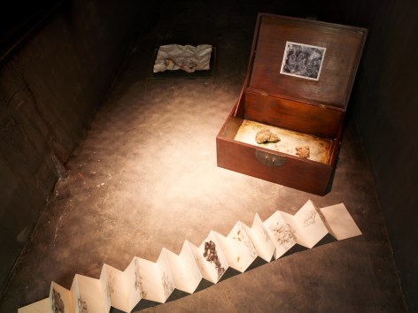 Hong Lei 洪磊, Wangshi Garden 网师园