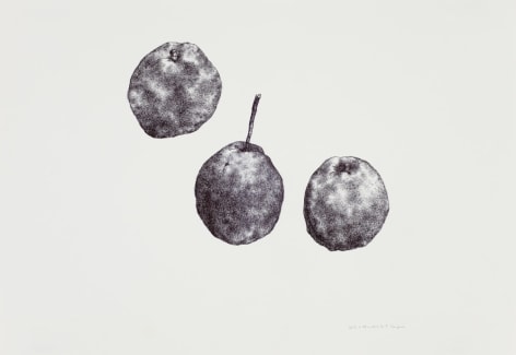 Pear No. 3梨子3, 2012